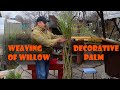 WEAVING OF WILLOW DECORATIVE PALM | ПЛЕТЕМ ИЗ ИВЫ ДЕКОРАТИВНУЮ ПАЛЬМУ