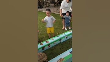 The Race of the Rabbit and Turtle: A Lesson in Humility