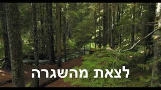 קורס תקשור - להתפתח, להעז ולהצליח
