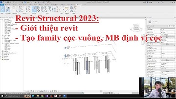 #1 Mặt bằng định vị cọc Revit structure 2023 | #1 Pile profile plan Revit structure 2023