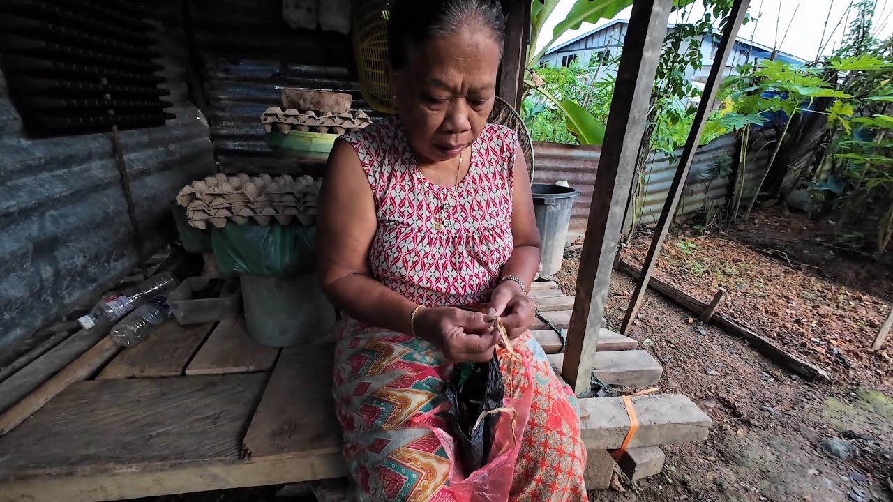 AWAL PAGI KUMANG JAWAI DAH BAGI BABI MAKAN DAN TENGOK KEBUN SAYUR // RUTIN HARIAN ORANG TUA // 