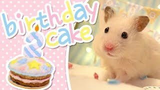 Birthday Cake | HAMSTER KITCHEN