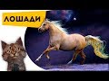 Лошади | Самые интересные факты про животных для детей | Познаватель кот Семен Ученый