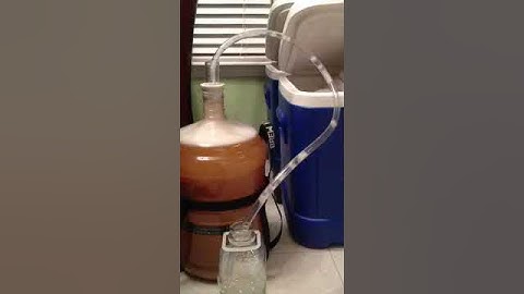 Hard Cider Active Fermentation