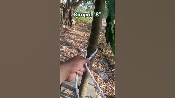 tali simpul"8"maksudnya berbentuk angka 8,ini sangat berguna sobat #simpul #tali #viral #knot#short