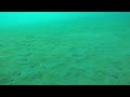 Underwater Adventure! What can YOU See? | Maddie Moate