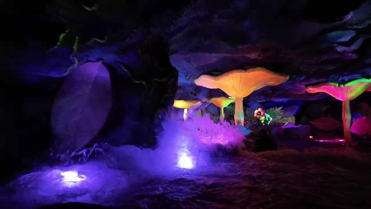 Underground sea 、Tropical、Bayou Tiana's Bayou Adventure - aka Splash - YouTube
