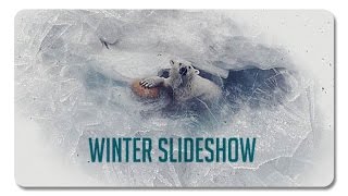 Winter Project Slideshow - CS5.5 and up - قالب افتر افكت صور و فيديو