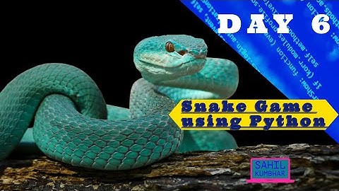 Snake Game in Python 👨‍💻🐍|| #Day6 || #100dayscodingchallenge #coding #python