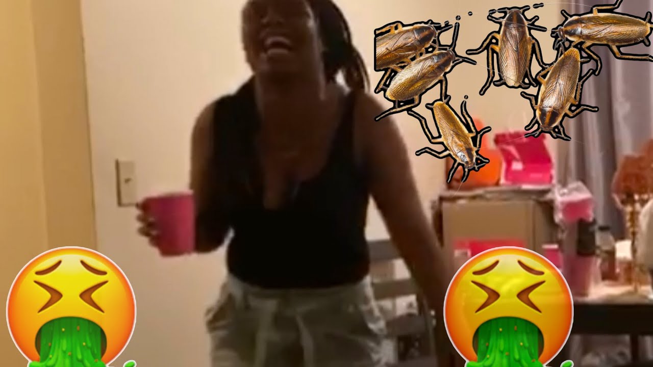 Cockroach Prank 🤮. - YouTube