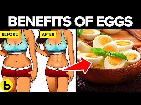 卵が夏に向けて体調を整えるのにどのように役立つか