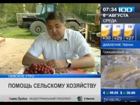 Продовольственная безопасность России