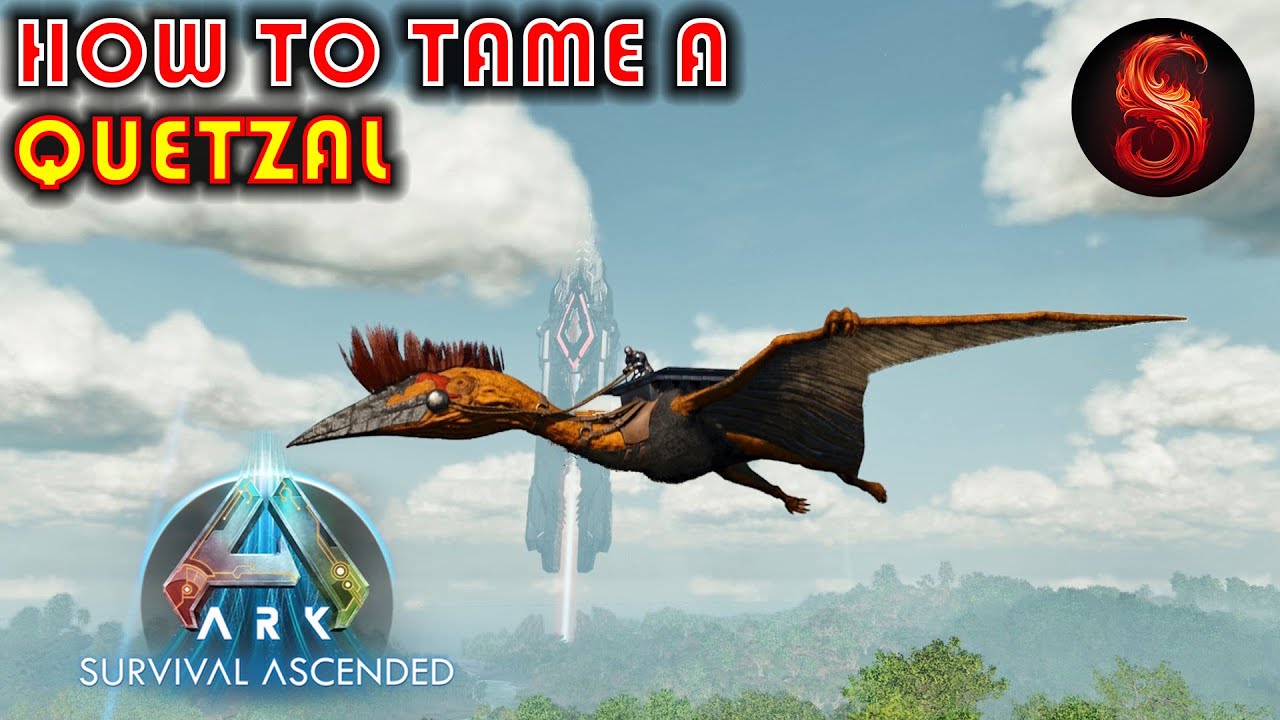 How To Tame A Quetzal In Ark ARK SURVIVAL ASCENDED HOW TO TAME A QUETZAL - YouTube