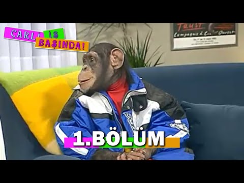 Çarli İş Başında 1. Bölüm - FULL BÖLÜM