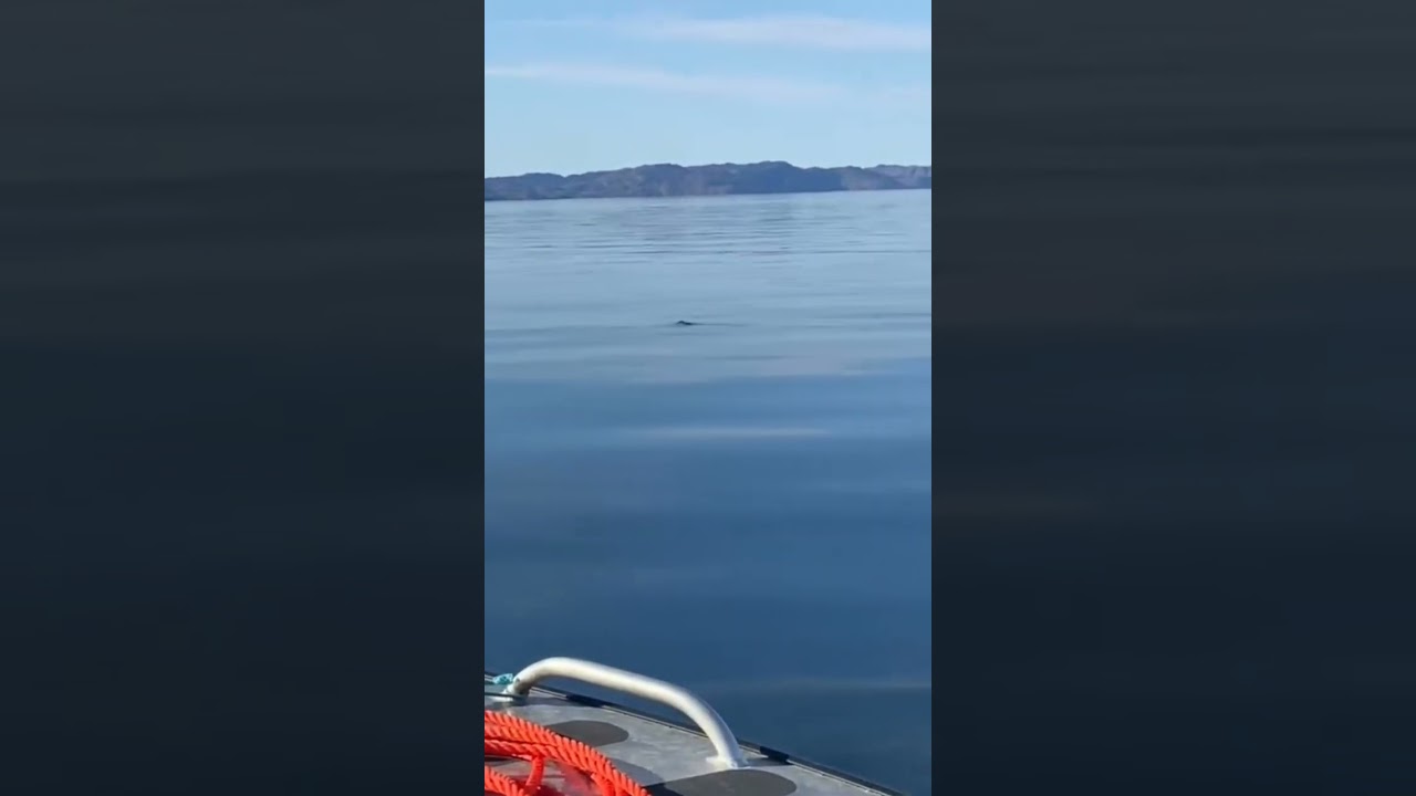 Seal hunting outside Iqaluit Nunavut Canada