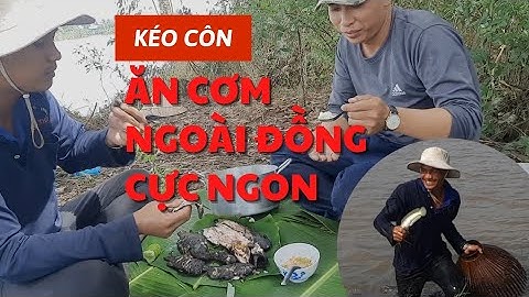 Kéo côn| cách bắt cá đầy thú vị ở Miền tây| Nướng cá | ăn cơm ngoài đồng quá ngon |Lư vũ vlog