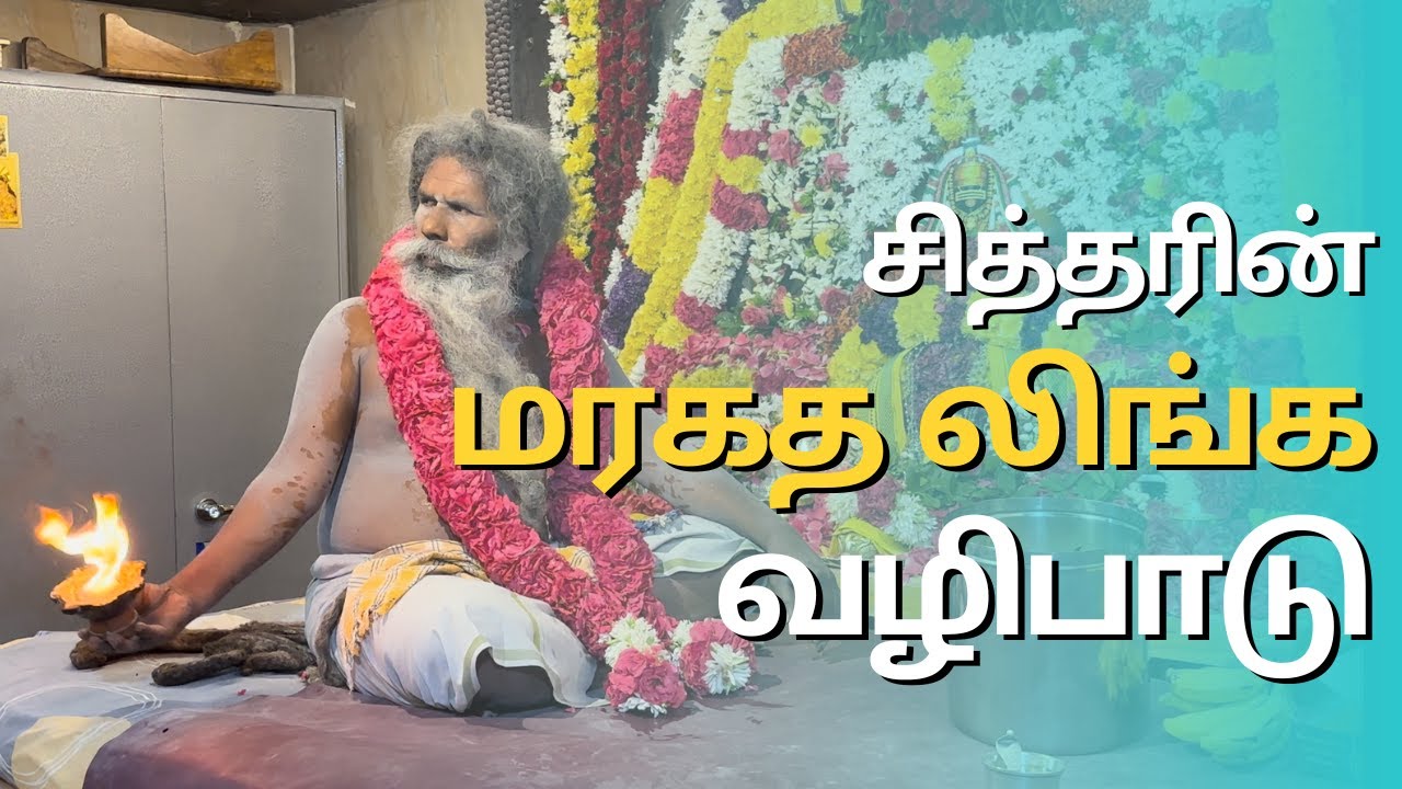 சித்தரின் மரகத லிங்க வழிபாடு | Thiruvannamalai | Mouna Siddhar | Travel To Siddha Samadhi