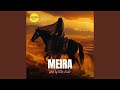 Meira Instrumental