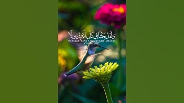 سورة النحل القارئ ماهر المعيقلي ولقد بعثنا في كل أمة 💤🩵 #قران_كريم #اكسبلور #القران #تلاوة_مؤثرة