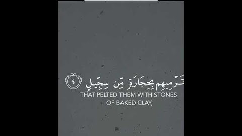 Surah Al fil ( سورة الفيل ) أَلَمْ تَرَ كَيْفَ فَعَلَ رَبُّكَ بِأَصْحَابِ الْفِيلِ