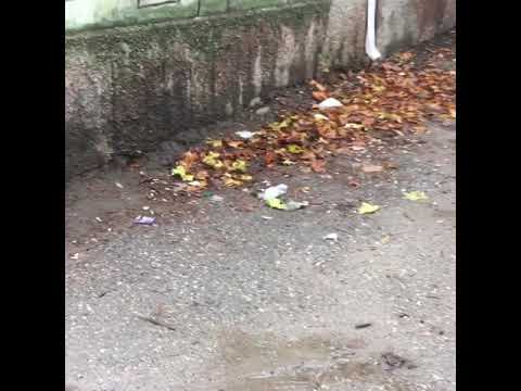 Майский , КБР