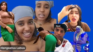 Dawwadha Aalaama qiyama Haanii fi Hangaatun  farshoo qufani shiita yafatani 