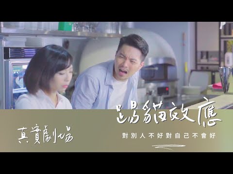 真實劇場－踢貓效應｜負面情緒，還是要收拾好