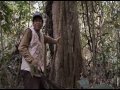 Shipibo-conibo, etnia conocedora de las plantas medicinales del Perú