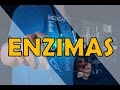 ENZIMAS