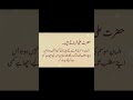 Hazrat ali💖😍🫀🌙#hazrataliquotes #islamicshorts #islamicstatus #foryou #quotes #viralshort
