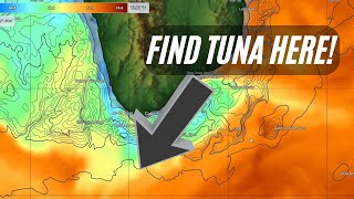 Master SST & Chlorophyll Maps: Advanced SatFish Tips for Offshore Fishing Success Net Worth