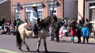Saint Patrick's Day Parade 2014