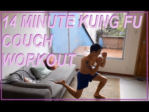 14 MINUTE KUNG FU FITNESS WEIGHT LOSS WORKOUT WITH A COUCH , LOUNGE , SOFA - COVID home quarantine