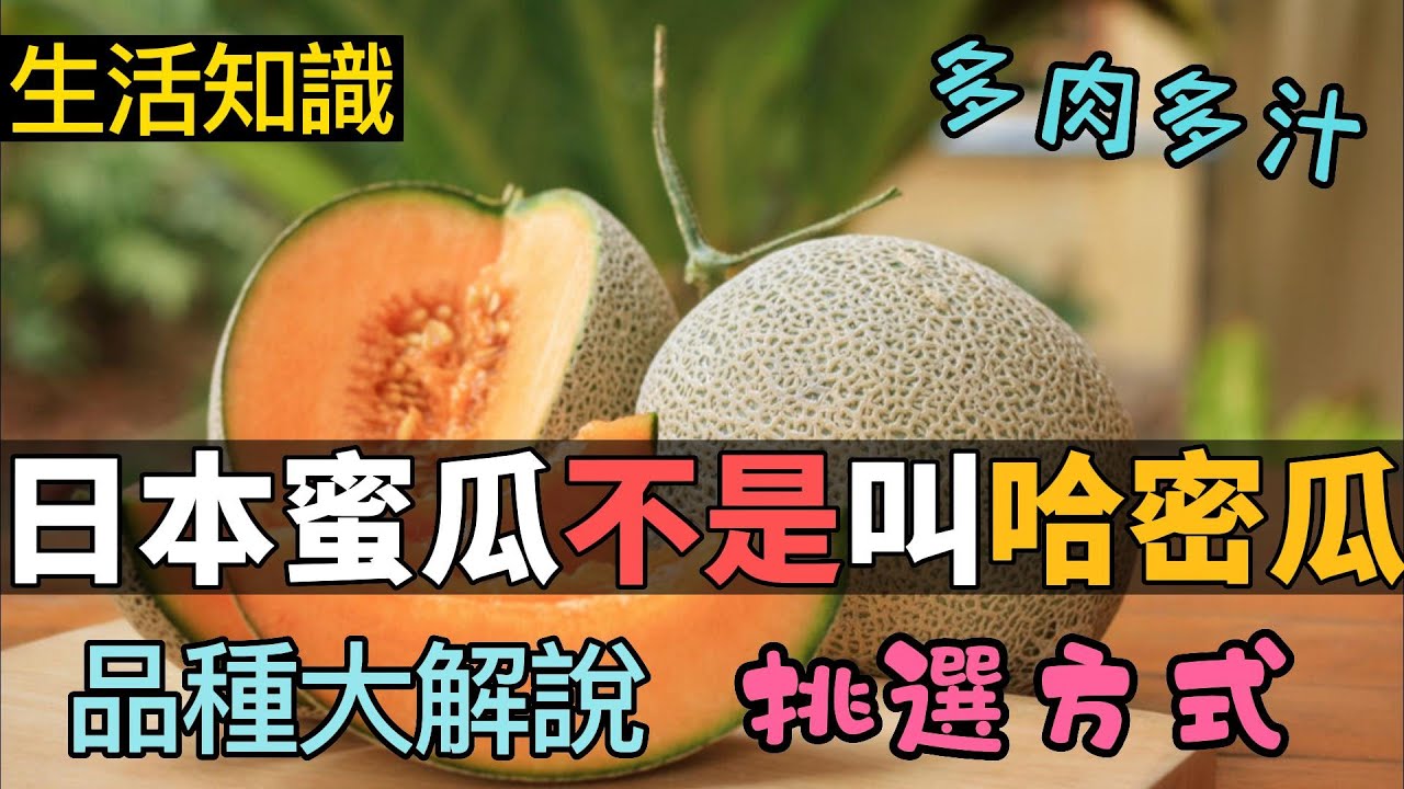 日本蜜瓜和哈密瓜傻傻分不清？！日本哈密瓜種類＆何挑小技巧完全介紹- Youtube