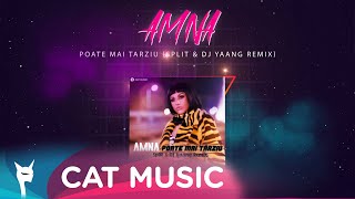 Amna - Poate Mai Tarziu (Split X Dj Yaang Remix)