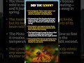 🤯 The Animal That Can Survive OUTER SPACE! (5 Real Superpowers)