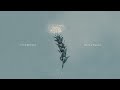 【MV繁中字】CNBLUE┃Still, a Flower