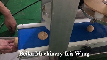 Small date filled maamoul cookie making machine—BEIKN MACHINERY