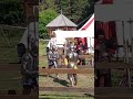 Рыцарский бой на мечах