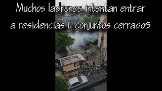21N Protestas en Cali || Paro Nacional Colombia by Wildog Steven 13,788 views 4 years ago 6 minutes, 22 seconds