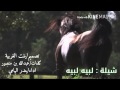 شيلة لبيه لبيه بندر اليامي 