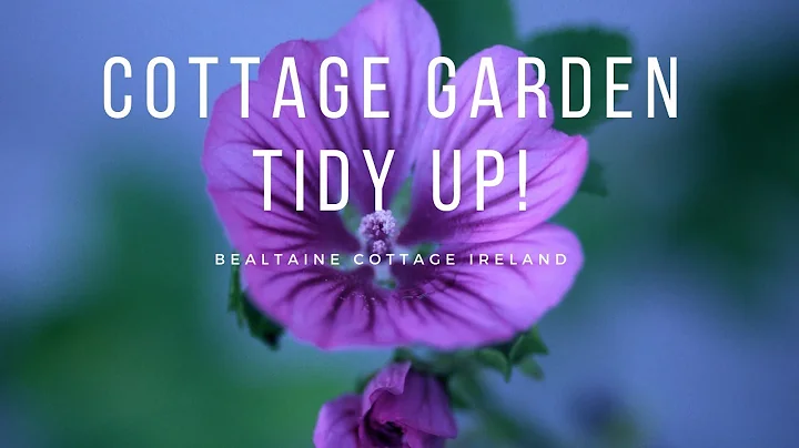 Cottage Garden Tidy Up!