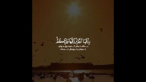 القرآن الكريم | وَكَأَيِّن مِّن دَابَّةٍ لَّا تَحْمِلُ رِزْقَهَا اللَّهُ يَرْزُقُهَا | سورة العنكبوت