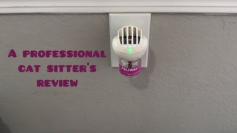 Feliway Cat Pheromone Diffuser REVIEW