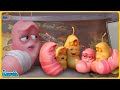 Larva Season 1 Episode 415 : Red Has A New Friend | Larva Kids Cartoon @SMToonVietnamlarva
