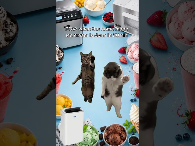 👇 What's your pet's favorite summer treat? Ice cream?