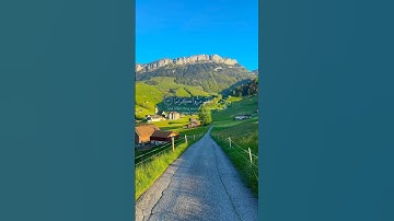 القرآن الكريم بصوت الشيخ إبراهيم إدريس ☘️🤍وكان الله غفورا رحيما  Al Quran Al Kareem