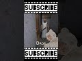 Granny Ka Sabse Cute Horror Avatar 🧸👻 | granny Grandpa Funny Trolling 😂🤣 | #short