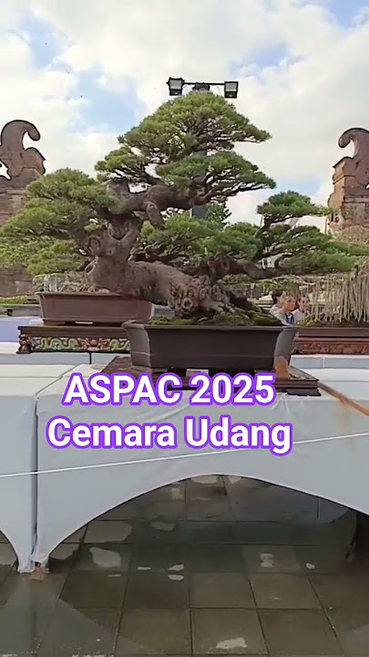 ASPAC 2025 Cemara Udang