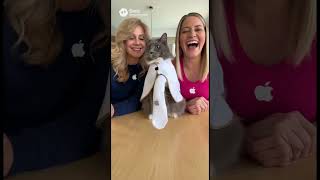 We got our hands on the new Apple Sock - Parody with @iJustine @Apple